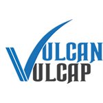 VULCAN VULCAP ADVANCE DIGITAL CONTROL PANEL 220V